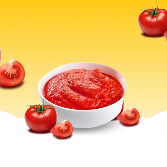 Tomato Paste manufacturers in India